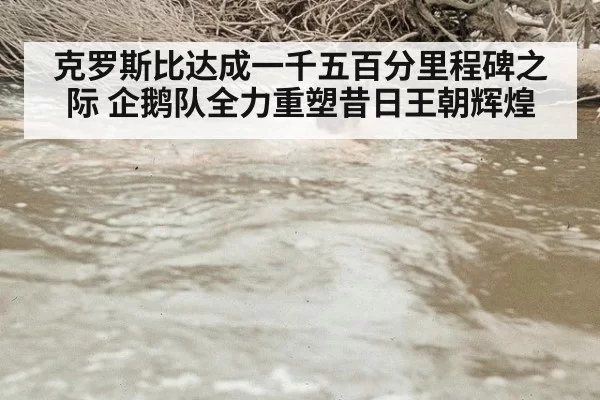克罗斯比达成一千五百分里程碑之际 企鹅队全力重塑昔日王朝辉煌